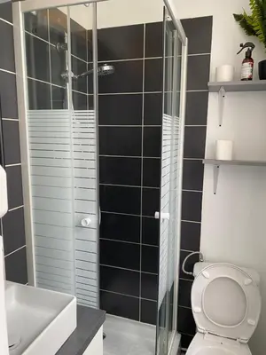 Salle de bains dans l'établissement Joli petit 2 pièces