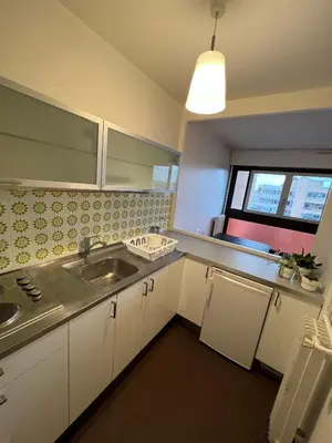 Cuisine ou kitchenette dans l'établissement Appartement lumineux 46m2 20e