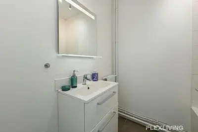 Salle de bains dans l'établissement Flexliving - whole flat - Saint Amand