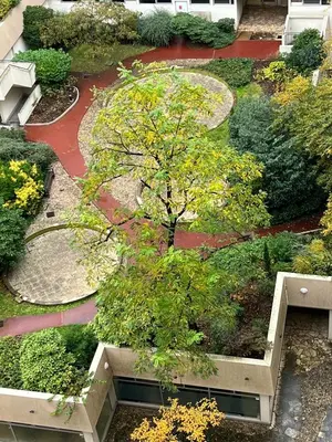 Jardin de l'établissement Studio Paris 20e