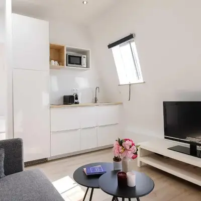 Charming aprt - 1 BDR 2P - Victor Hugo