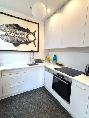 Cuisine ou kitchenette dans l'établissement le Penthouse Murat L