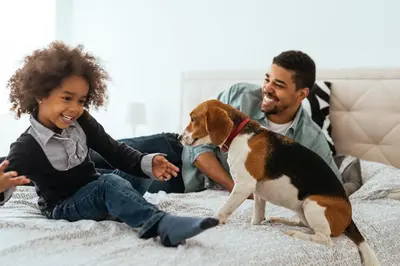 Animal ou animaux domestique(s) séjournant avec des clients dans l'établissement Citadines Bastille Gare de Lyon Paris